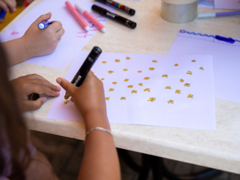 media.provini_Savoia-315