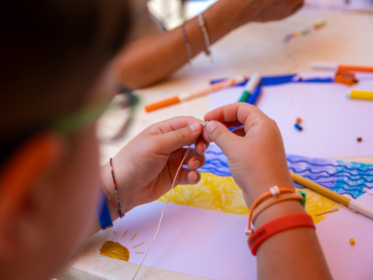 media.provini_Savoia-405